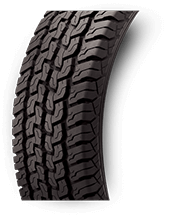 MRF Wanderer FEATURES