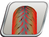 mct